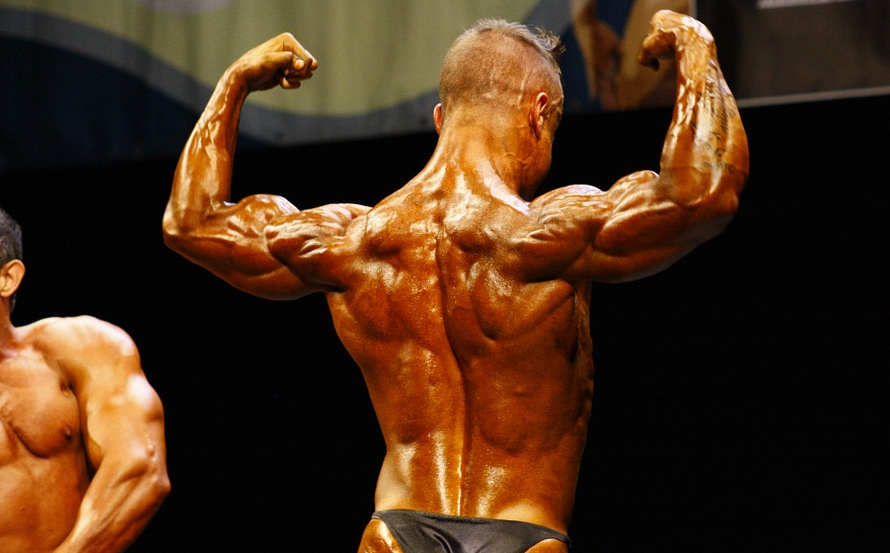 bodybuilder